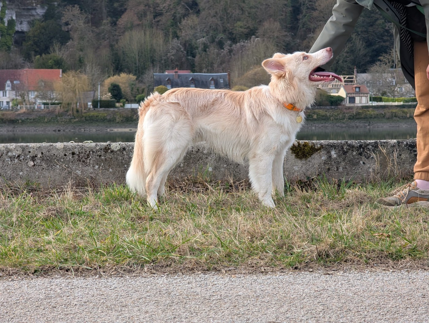 Via del corso De La Lumière De Nerthus